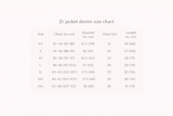ZR GERY DENIM JACKET